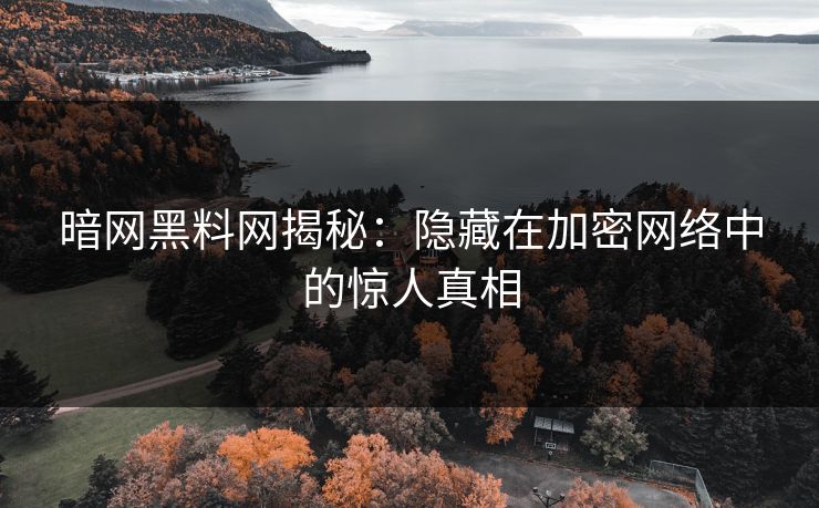 暗网黑料网揭秘：隐藏在加密网络中的惊人真相