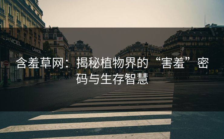 含羞草网:揭秘植物界的“害羞”密码与生存智慧 含羞草网:揭秘植物界的“害羞”密码与生存智慧