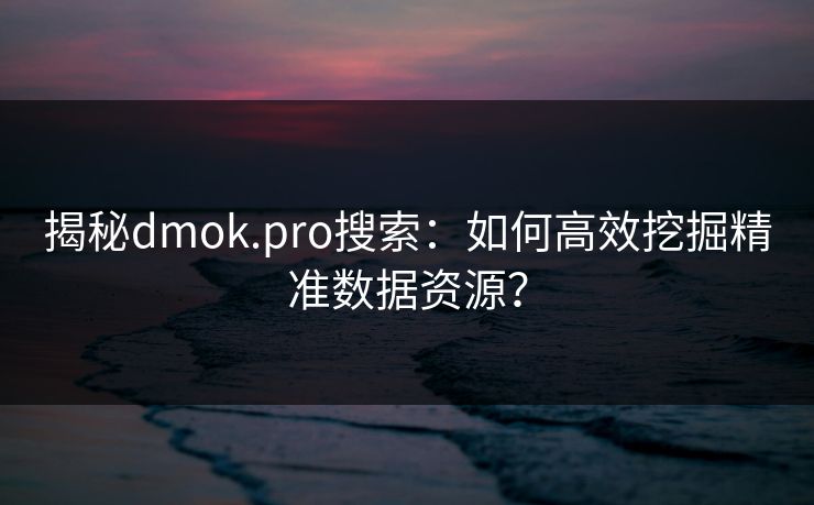 揭秘dmok.pro搜索:如何高效挖掘精准数据资源?