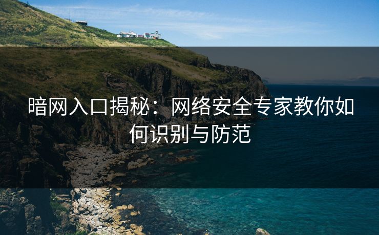 暗网入口揭秘：网络安全专家教你如何识别与防范